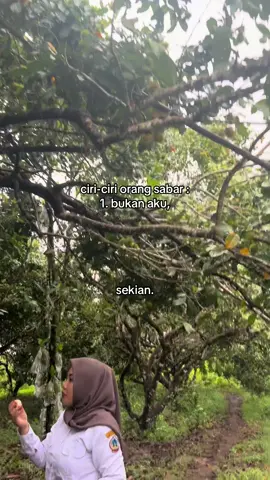 Ada jamu kesabaran gak?