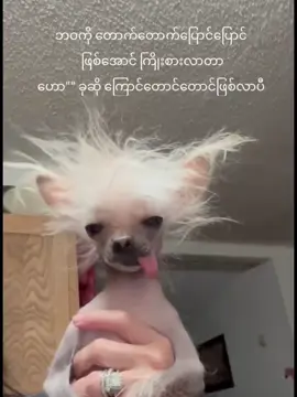 😮‍💨#fypシ゚viral #foryou #foryoupage 