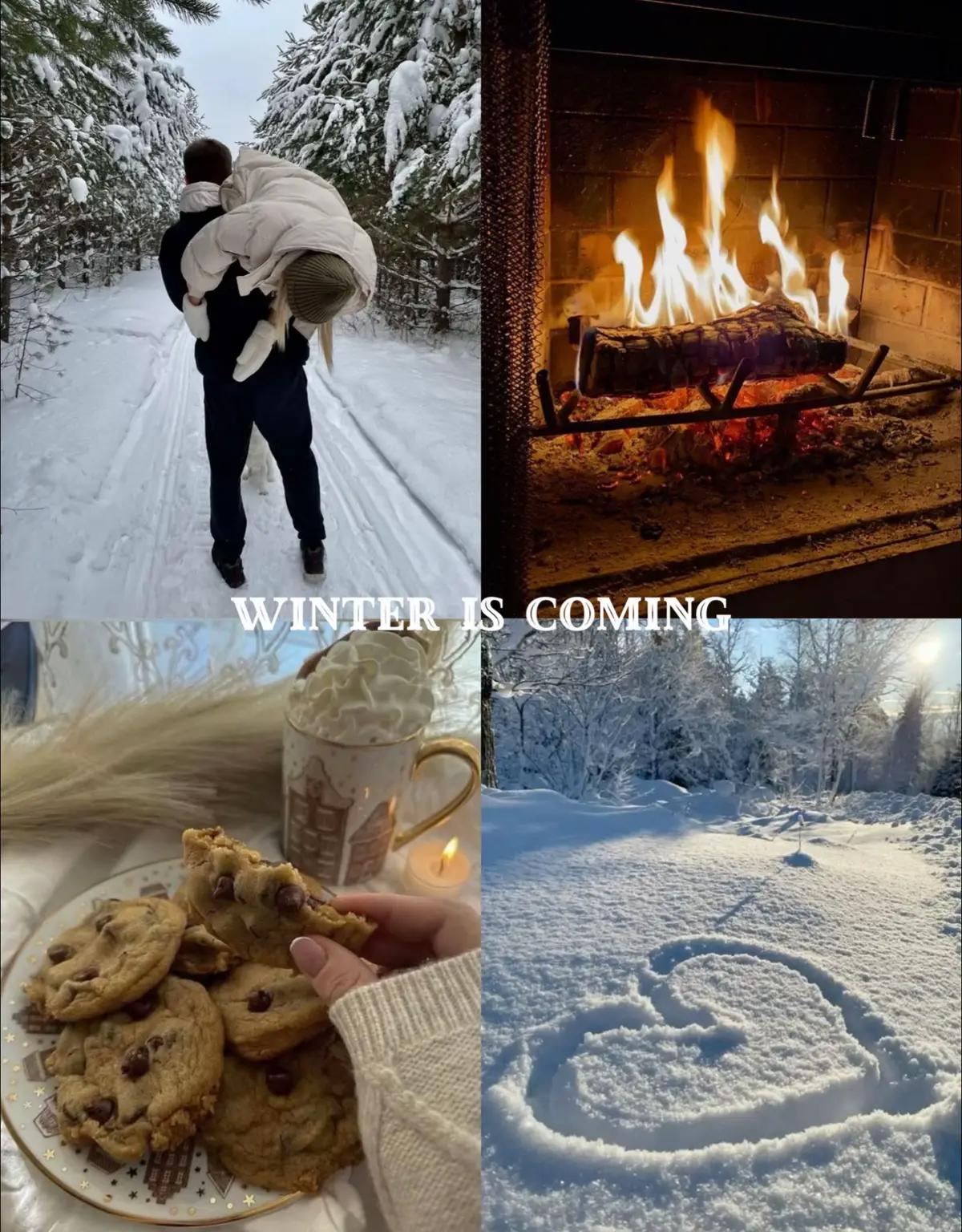 winter arc… #gym #GymTok #gymrat #winterarc #mentality 