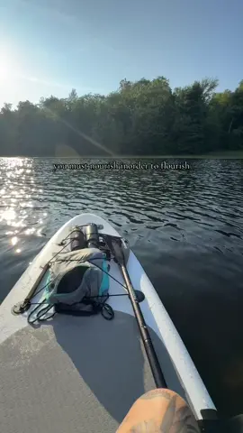 #fyp #paddleboard 