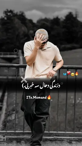 #CapCut قربان شم♥️🦋#modasirmomand #afghantiktok #افغانی_تیک_تاک #pindiking 