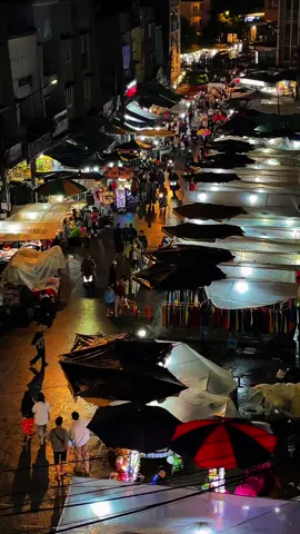 Mình sống đơn giản lắm, có tiền là mình đi Đà Lạt ngay à 😗 #dalat #storyofdalat 