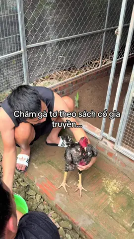 🤣🤣🤣