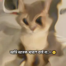 🌸😭#saport___me💙😘plz😘 #saport___me💙😘 #bangladesh #bangladesh #সাপোর্ট_করলে_সাপোর্ট_পাবে @MrBeast @Omor Always On Fire @TikTok 