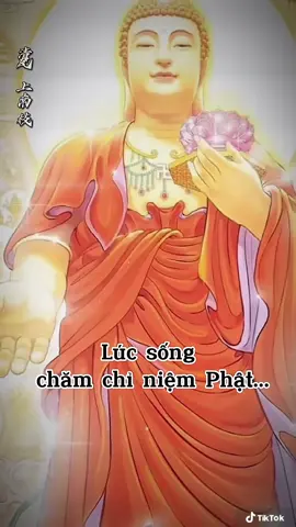 Lúc sống chăm chỉ Niệm Phật !  Lúc lâm chung Phật đến tiếp dẫn  #phatphapnhiemmau🙏🙏🙏 