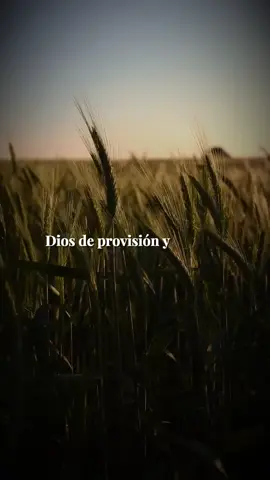 Dios de bendicion.✝️ #Cristianos✝️ #falowers  #seguidores❤  