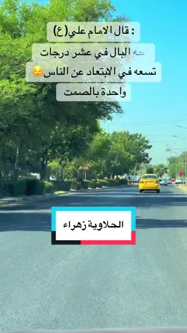 حي بابل الجميل من اجمل المناطق في مدينة الحله  #wutheringwaves #fyp #tiktokviral #foryou #شعب_الصيني_ماله_حل😂😂 