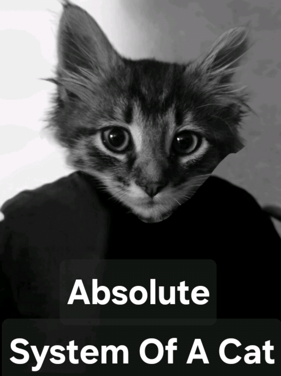 I-E-C-A-T-I-O #cat #systemofadown #oioioi #fyp 