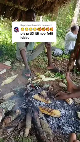 Replying to @mhawii6 #oromotiktok❤️💚❤️ethiopiantiktok #harargee♥️🥰😍 #vilegelife #popele 