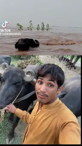 Allah pak sab par karm karny 