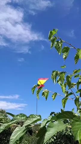 #mi tierra #mi país #orgulloso de ser de España y de Extremadura #Badajoz#de ningún color, todos iguales 