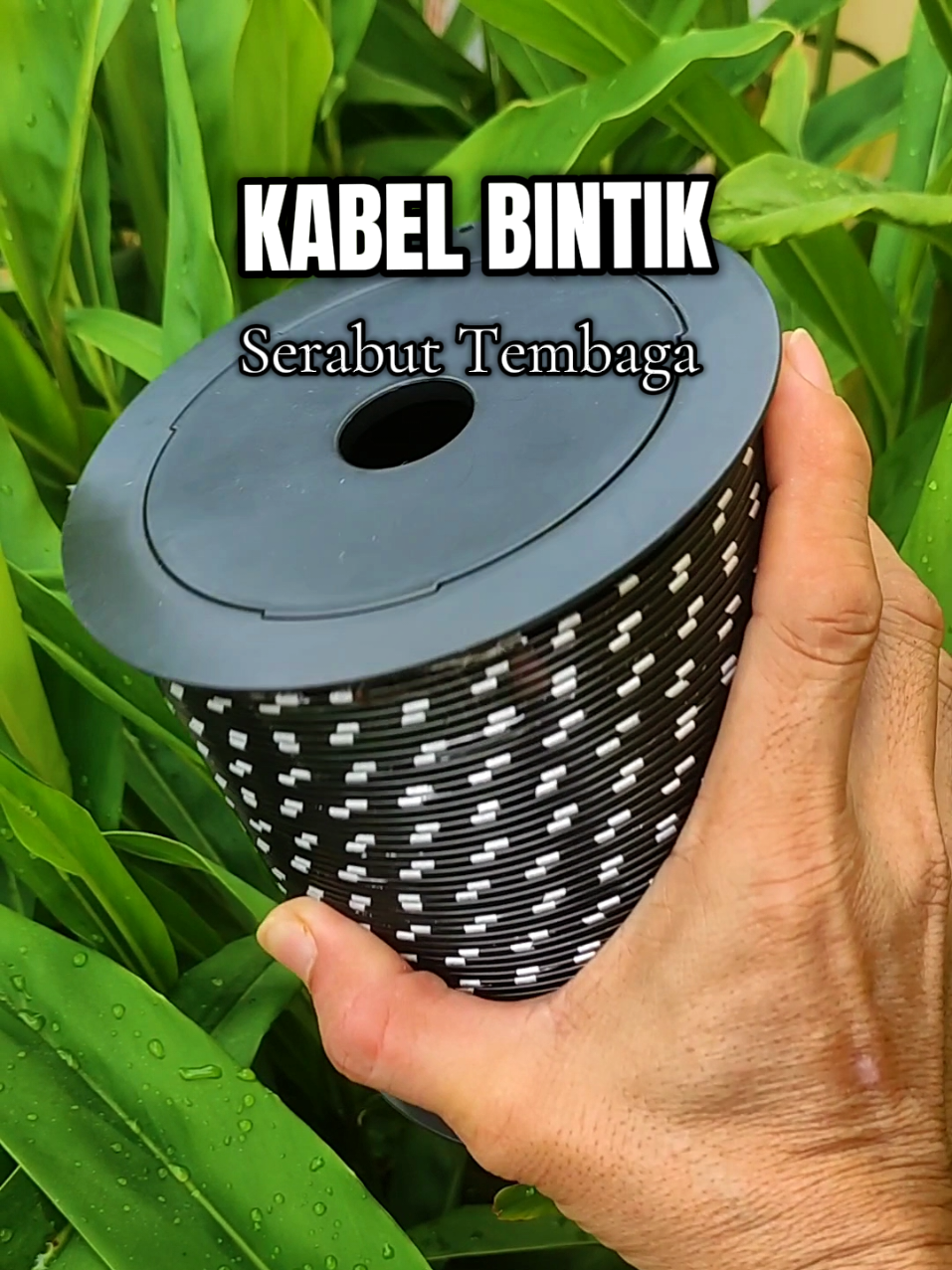 Kabel Bintik AVS 0.85MM x 100M Kabel Otomotif Body Mobil Motor Serabut Tembaga (Bobin) #kabelbintik #kabelbody #kabelserabut #kabeltembagamurni #kabelotomotif 