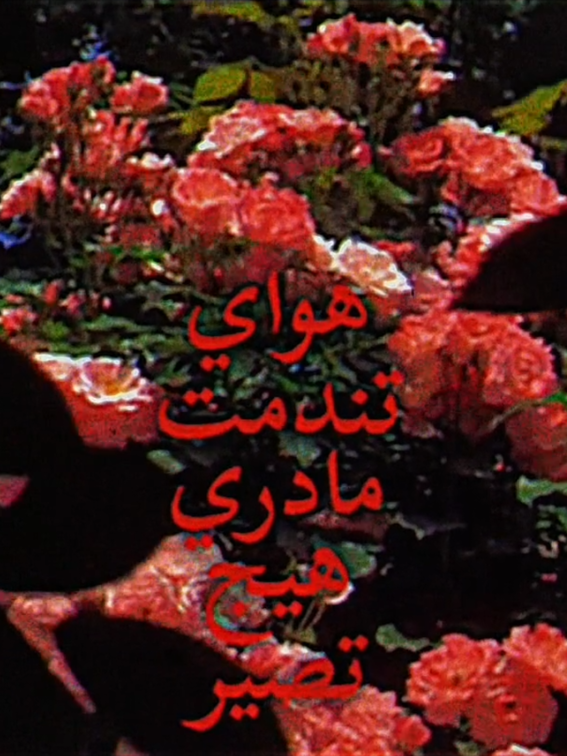 هواي تندمت مادري هيج يصير عمر هادي #عمر_هادي #موال #موالات_حزينة_عراقية💔 #تصميم_فيديوهات🎶🎤🎬 #Sing_Oldies 