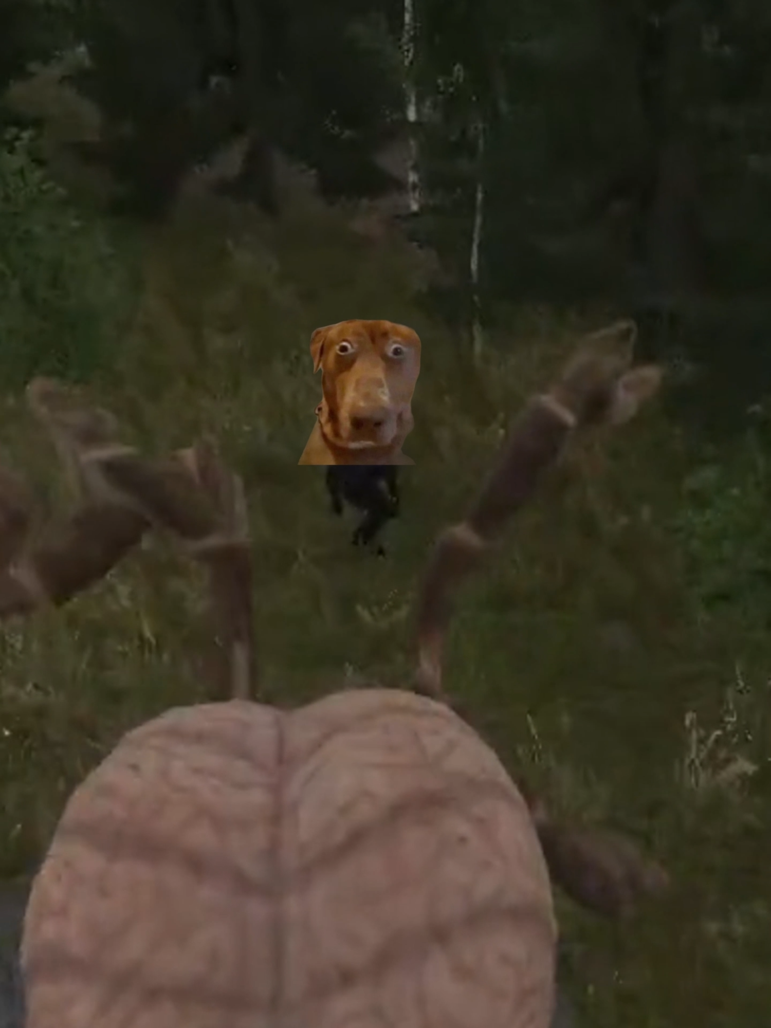Spider!? #armareforger #funnymoments #gaming #fyp #spiderman #dinosaur #horrortok