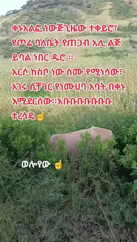 #ኢትዮጵያ_ለዘለዓለም_ትኑር🇪🇹🇪🇹 #ወሎአማራ💚💛❤️ #MOM💔☝አላህ #tiktoklive #ሙስሊም 
