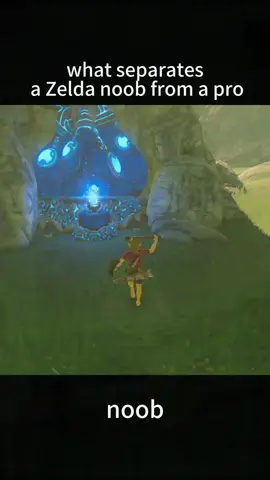 #zelda #zeldabreathofthewild #switch #funny 