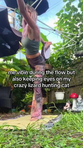 never peace in this garden 