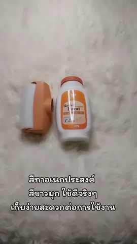 #สีทาอเนกประสงค์ 