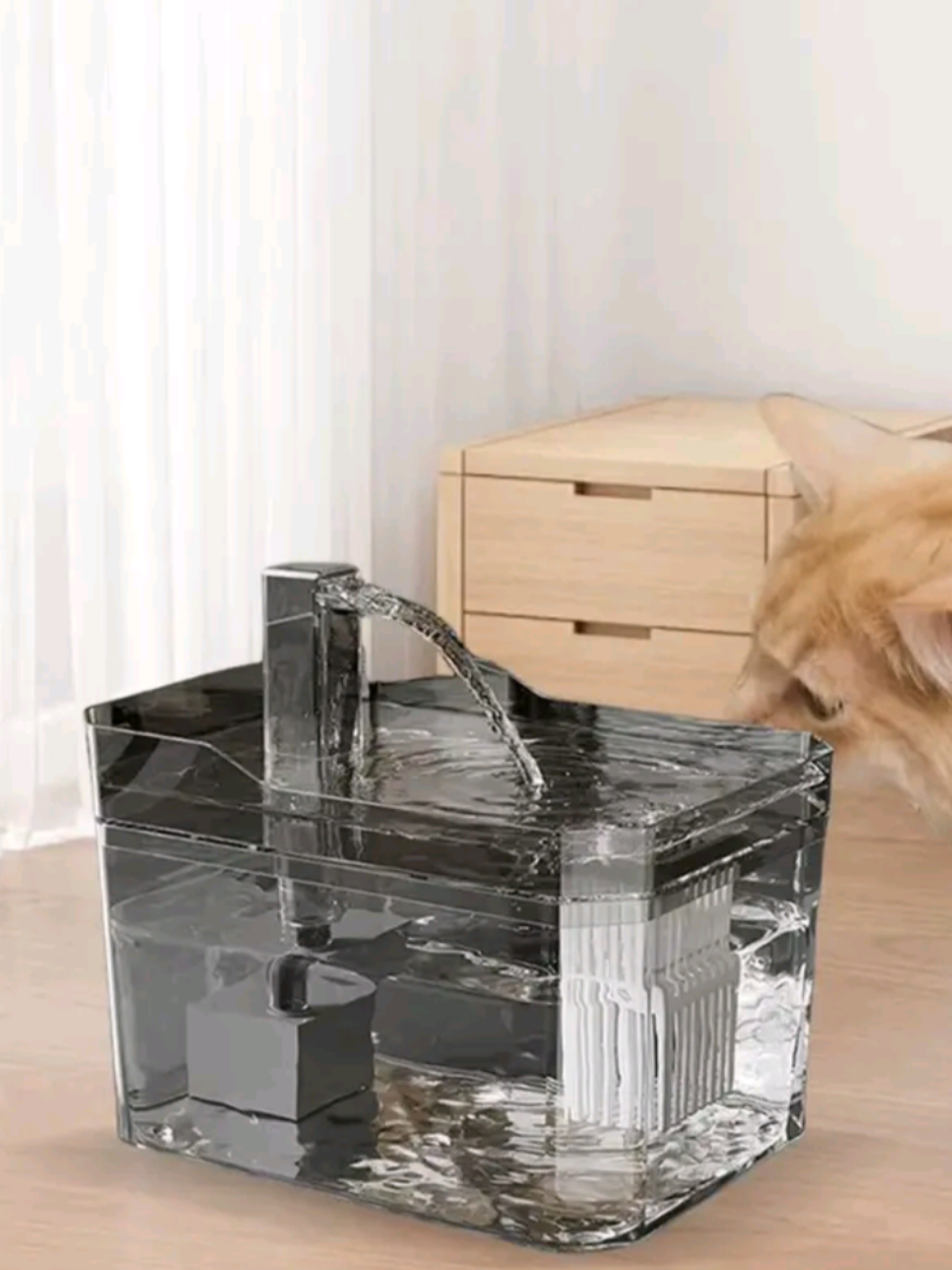 💧🐱 Seu gatinho merece água sempre fresquinha e limpa! Fonte automática com filtro, silenciosa e prática por apenas R$ 69,90 ✨ ✅ Bivolt ✅ 1,5L de capacidade ✅ Mantém seu pet saudável e hidratado . . . #Pets #Gatos #FonteDeÁgua #PetCare #GatinhoFeliz 