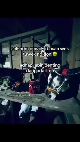 pangga tak acc  leee?  #satriobumisumberejo #kakeanpola#