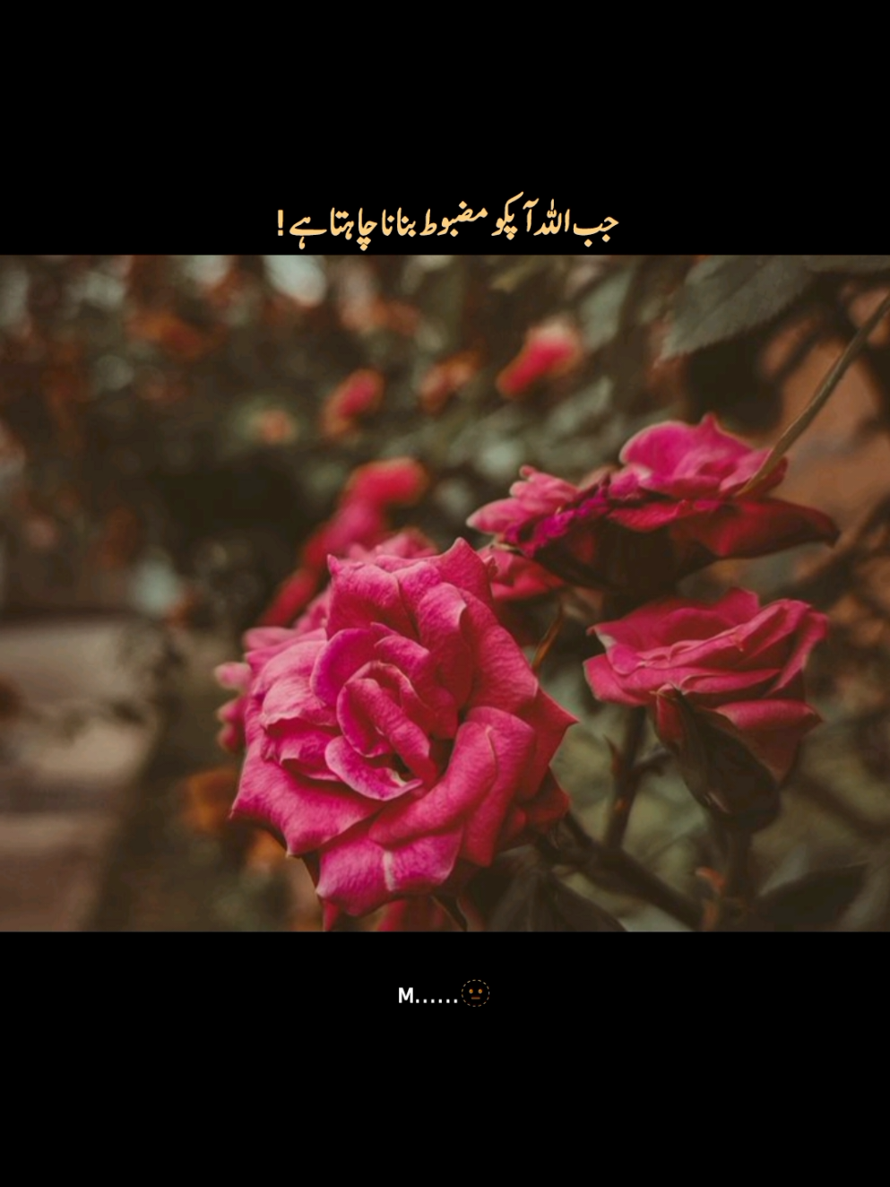 #foryou #islamic #islamic_video #foryoupage❤️❤️ #fyp 