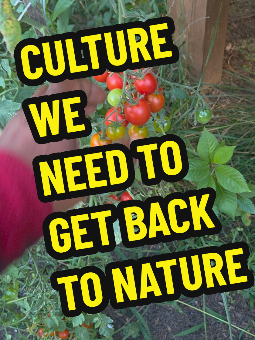 #somebodysbeenlying  Culture is preparing the earth for crops God is found in nature... not in temples built by man CHURCH IS CLOSED 