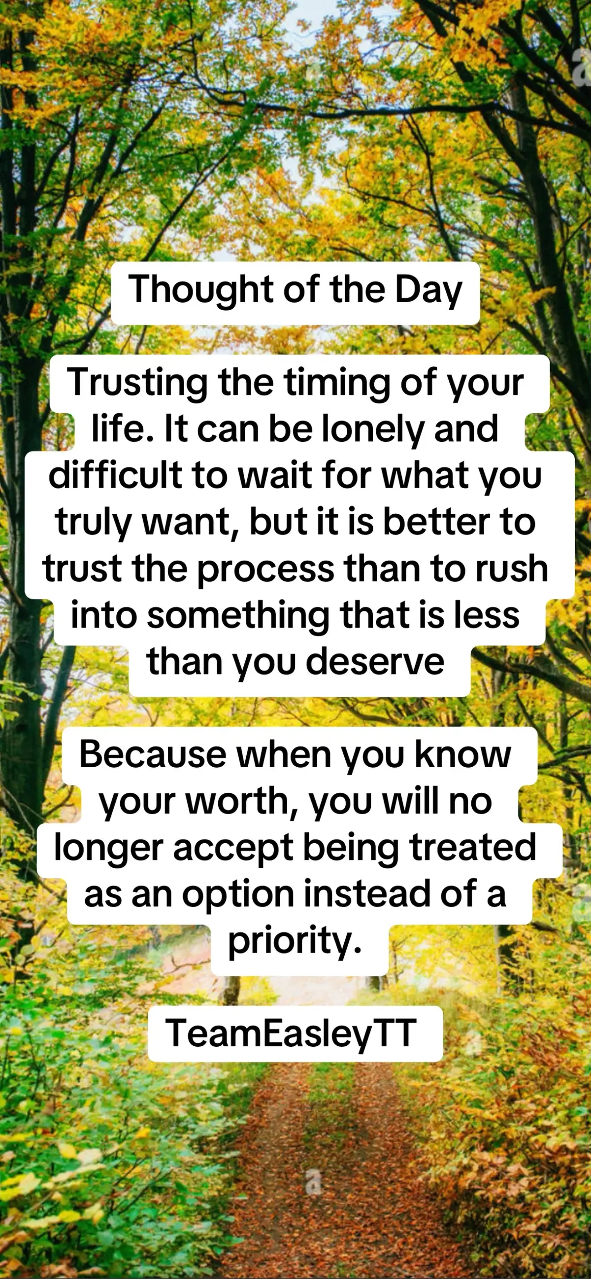 Thought of the Day #teameasleytt #magic🐺wolves #goldcoastvibess #👑teamofkings👑 #royaltyvibes👑 