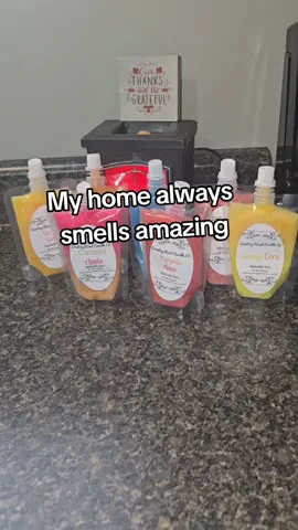 All your favorite Fall scents in Soy wax squeezable Pouches! #soywaxmelts  #waxmelts  #fallscents  #pumpkinspice  #candycorn 