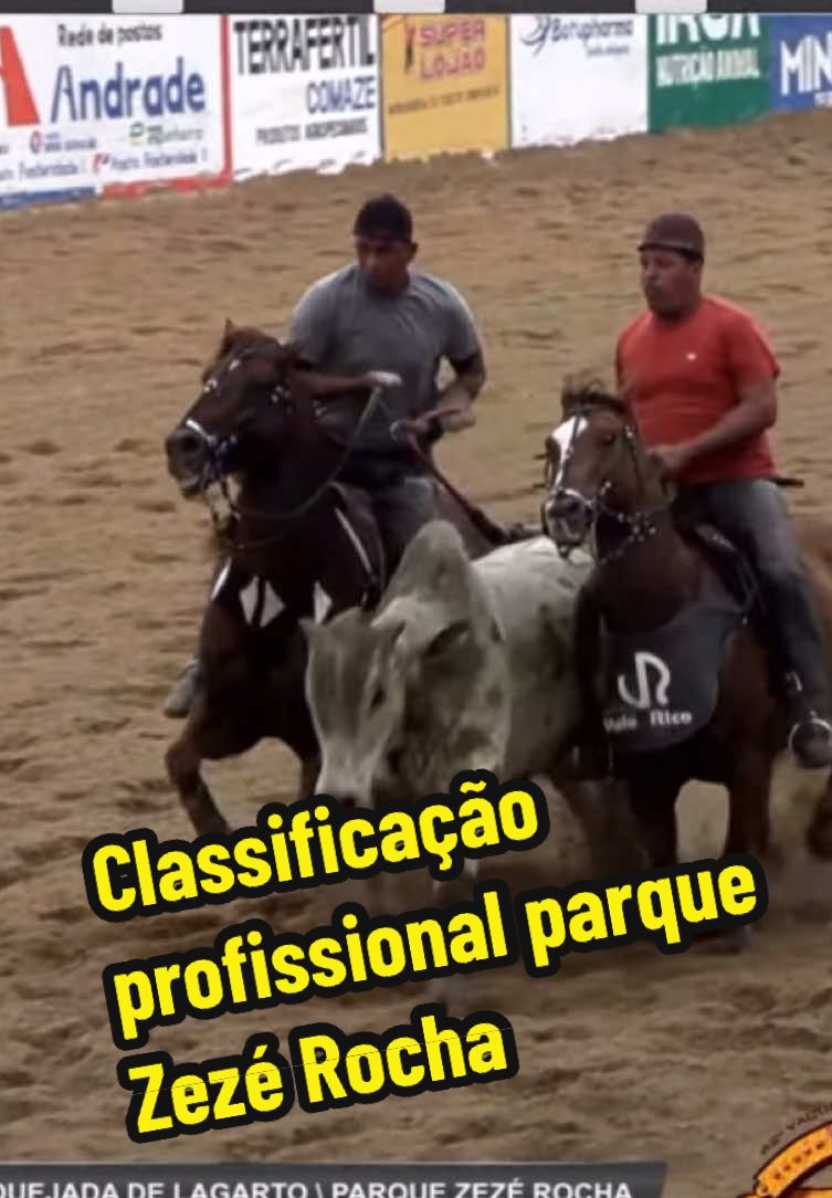 Classificação profissional parque ZEZÉ ROCHA #vaquejada #viralvideo #fy 