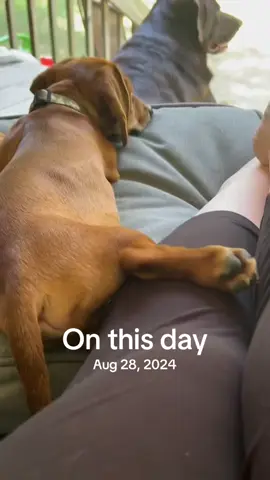 #onthisday 