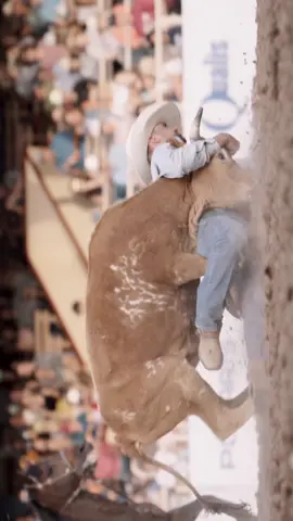 Symphony No. 5, Steer Wreslting  #WeArePRORODEO  #rodeo #cowboys 