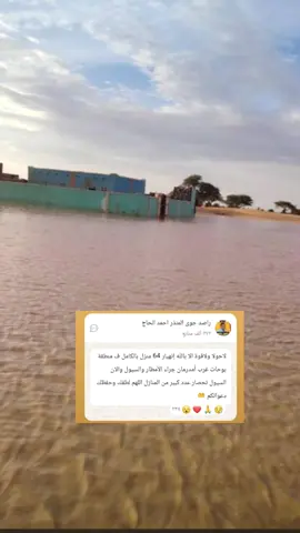#طيرشلوى⚔🦅⚔ #مليون_مشاهدة❤ 