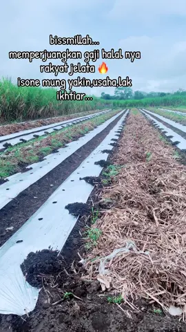 memperjuangkan gaji halal 😊😊😊😊