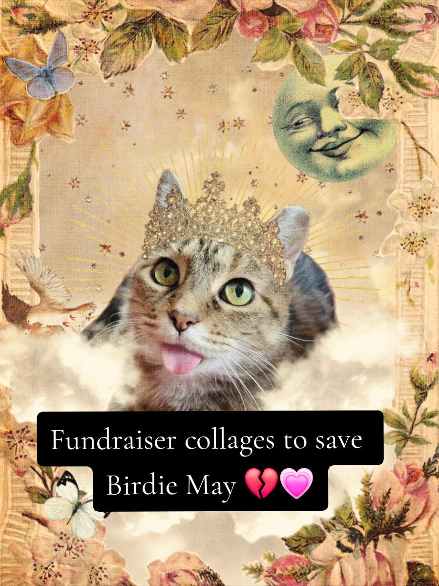 #catcancer #catmom #fantasytok #fantasyart #petart 