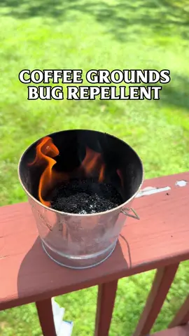 We caffeinate. We dominate. We obliterate tiny winged enemies.  #LWADW 