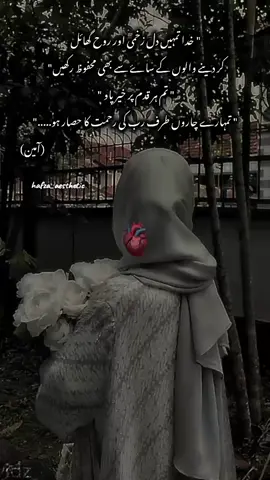 آمین.... . . . . . . #poetrylovers #foryou #viralvideo #aesthetic #fyp 