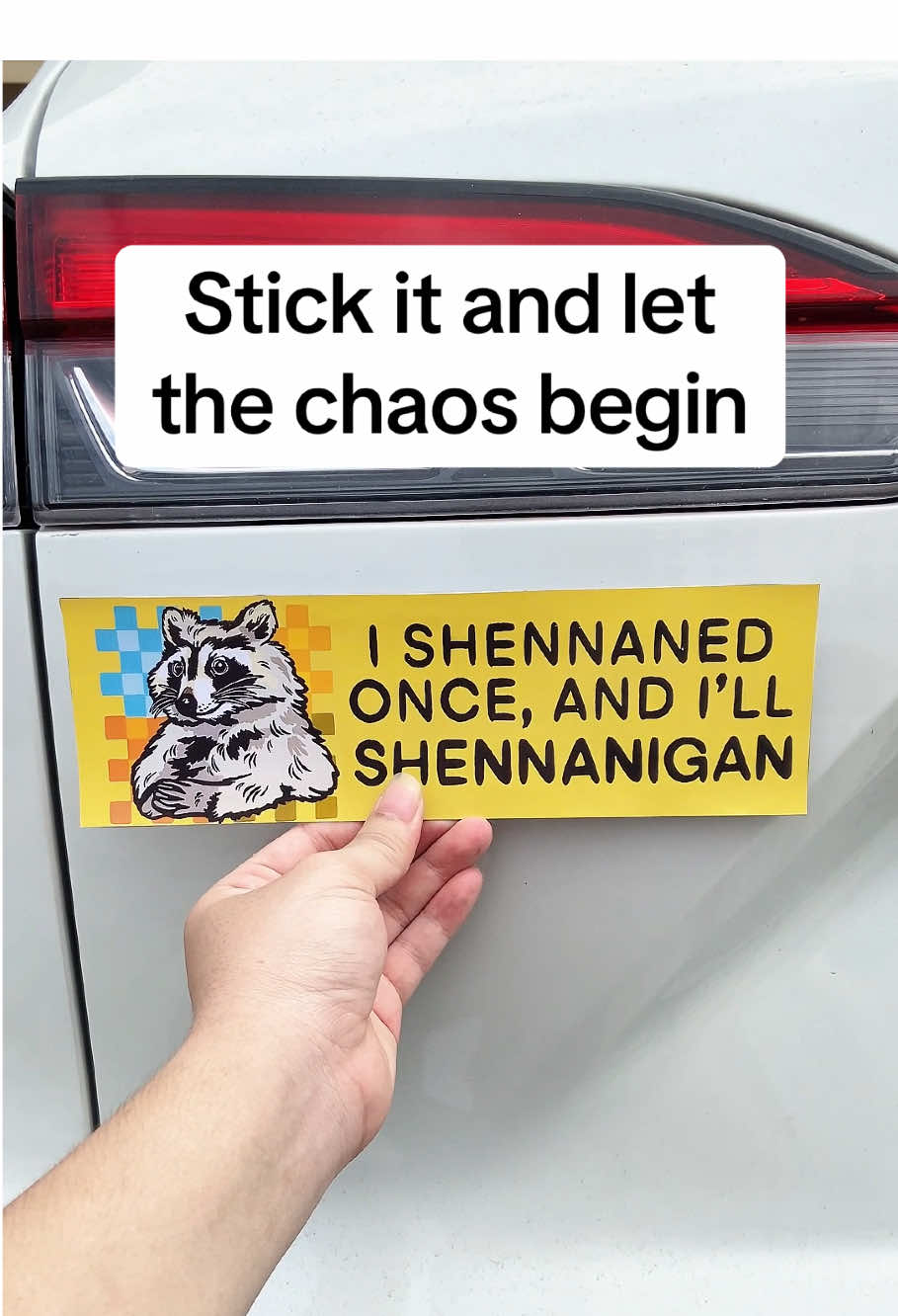 This magnet screams: “I have no control over my life. #genzhumor #funnycarmagnets #cardecor #raccoon #chaosmood 
