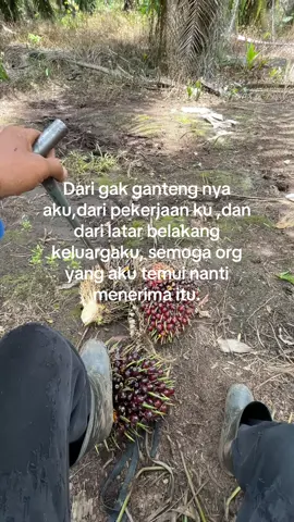 #fyp #sawitontiktok #petanimuda #petanisawit🌴 #storysawit🌴🌴 