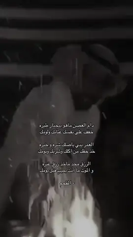 #محمد_المقحم #شعر #قصايد #اكسبلور 