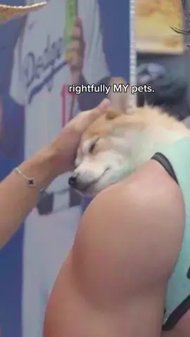 he let me pet :) #fyp #viral #dogsoftiktok #dog #doglover @MAKESI 