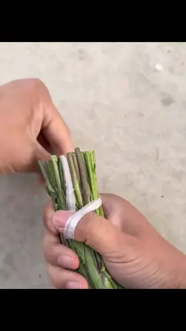 เจ๊ง 