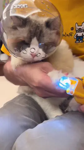 ✂️🐾 Never Fear the Clippers Again – The LED Nail Trimmer That Sees the Quick for You! 🐾✂️ Trim your pet’s nails with confidence and ease thanks to this game-changing LED nail clipper! Designed for both cats and dogs, it takes the guesswork (and the stress) out of paw-dicures. 🔦 Why It’s a Must-Have: · Built-In LED Light: Illuminates the quick instantly – no more accidental nicks! · Transparent Guard: Prevents nail碎片 from flying everywhere 🛡️ · Sharp, Curved Blades: Clean cuts without splintering or cracking · Perfect for “All Thumbs” Humans: If you’re all nerves during nail trims, this is for you! 😌 Pawfect For: • Anxious pet parents who dread clip time • Pets with dark nails where the quick is invisible • Multi-pet households (works on cats AND dogs!) #PetGrooming #NailTrimHack #LEDClipper #StressFreePets #DIYPetCare 👉 Swipe to see the LED light in action! Tag a friend who needs this trim-time upgrade. ✨ P.S. That sigh of relief when you clip perfectly? Worth it. 💙