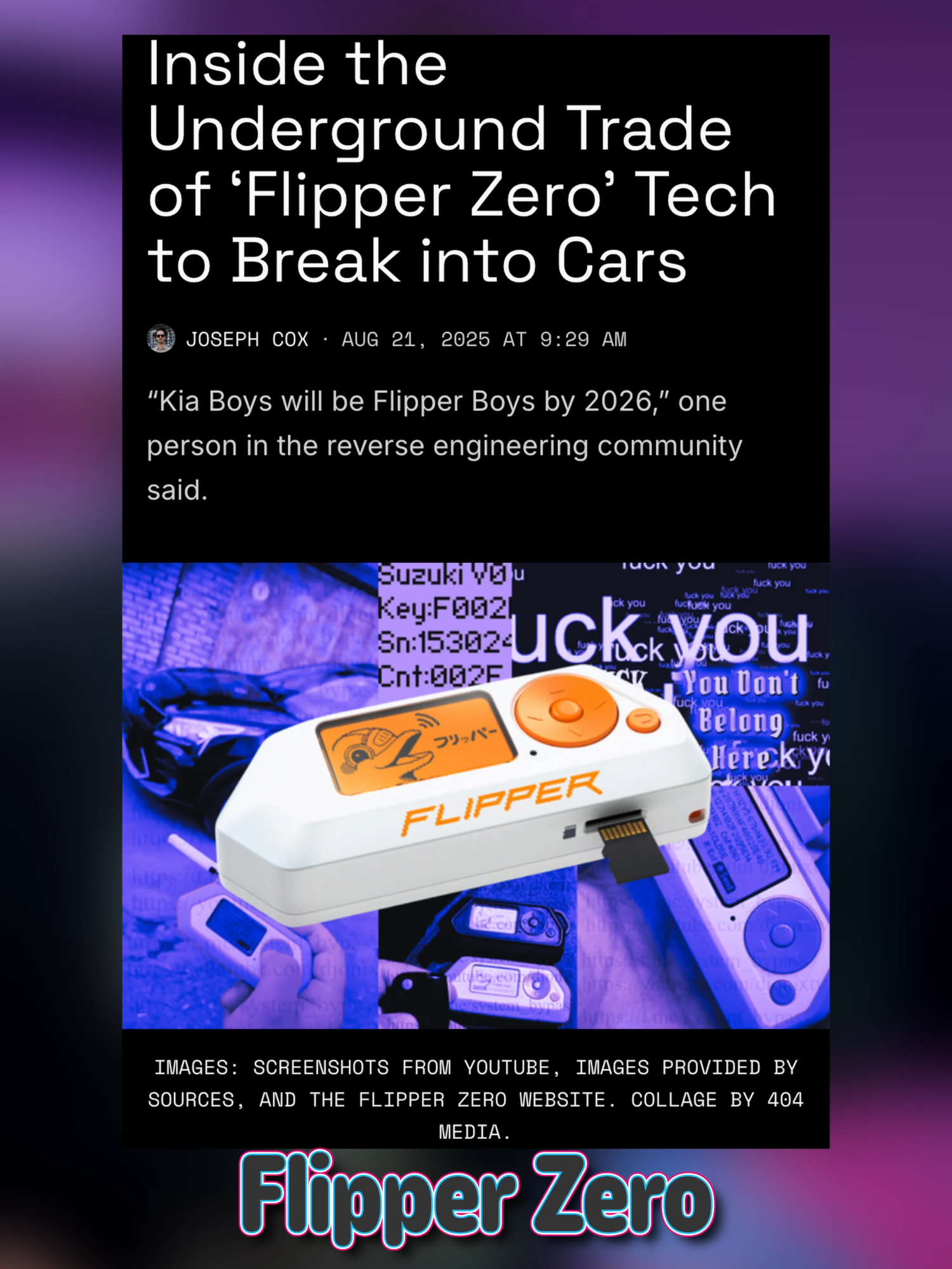 Flipper Theft Auto