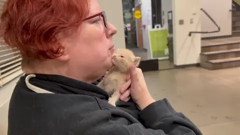 Sweetest boy ever. Going home from Dove Lewis animal Hospital. #kittentok #kittensoftiktok #kitten #kittens 