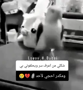 بالكوه ماسكه نفسي لأن مكدر احجي لأحد🤭🤣