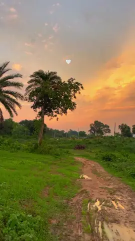 Allah borosha 💖  #fypシ゚viral   #foryou  #flowers #viralvideo #bdtiktokofficial 