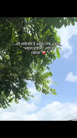 এই লাইনটা'ই এখন শেষ ভরসা_ 