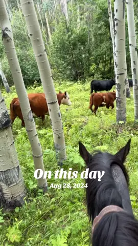 #onthisday 