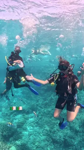 #hurghadaegypt لما تسيب تعليم الطالب ويهلس معاك😂💯#البحر🌊👌🏾🤿🐟🐬 #إكسبلوررررررر_explore ##hurgada #🐟🐟Diving ##المغرب🇲🇦تونس🇹🇳الجزائر🇩🇿 @𝐍𝐀𝐍𝐀🪷 