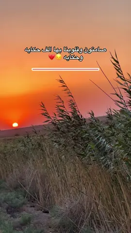 صامتون وقلوبنا بها الف حكايه وحكايه 😔💔#تصويري_احترافي_الاجواء👌🏻🕊😴 #الشتاء #الصيف 